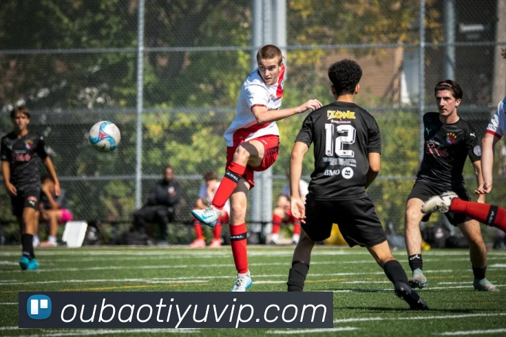 欧宝体育APP 封面图