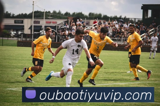 数据防护可视化